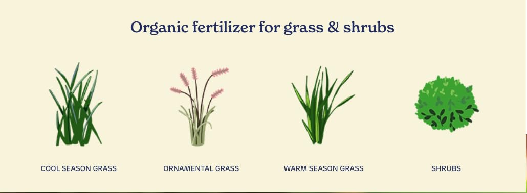 Organic Liquid Lawn Fertilizer with 1% Iron 32 fl. oz. V98070