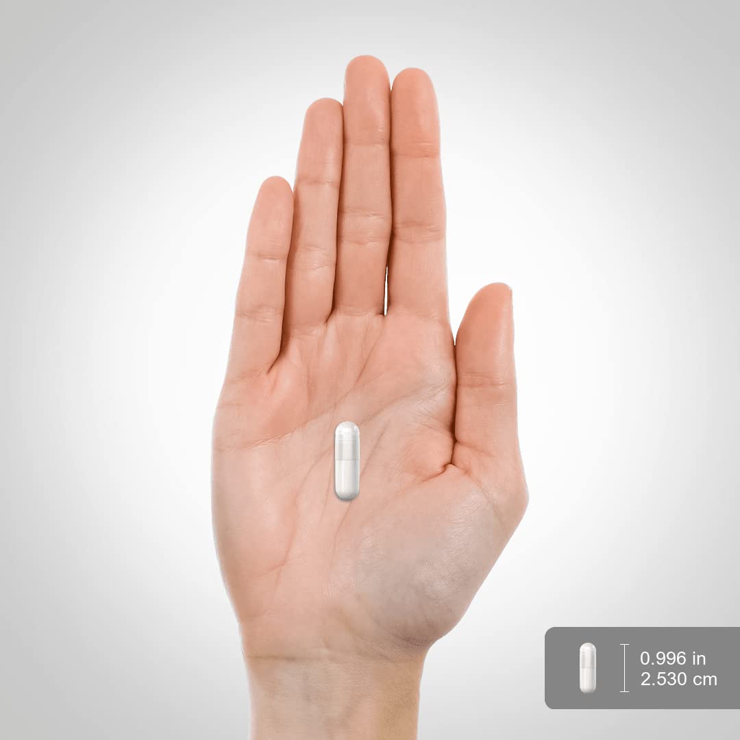 MSM Supplement 1000mg 150 Powder Capsules J15420