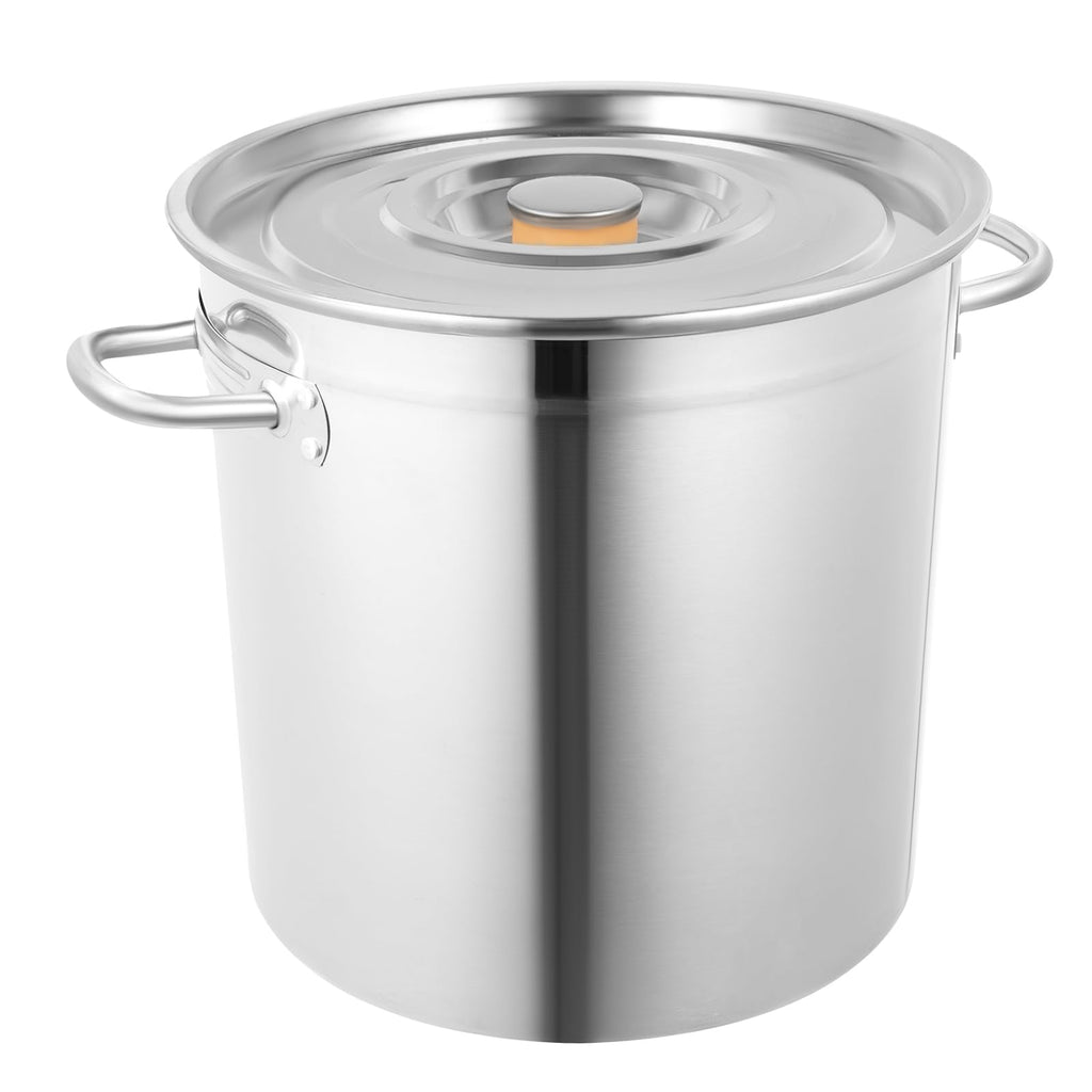 35L Stainless Steel Stockpot with Lid and 2 Handles H209853