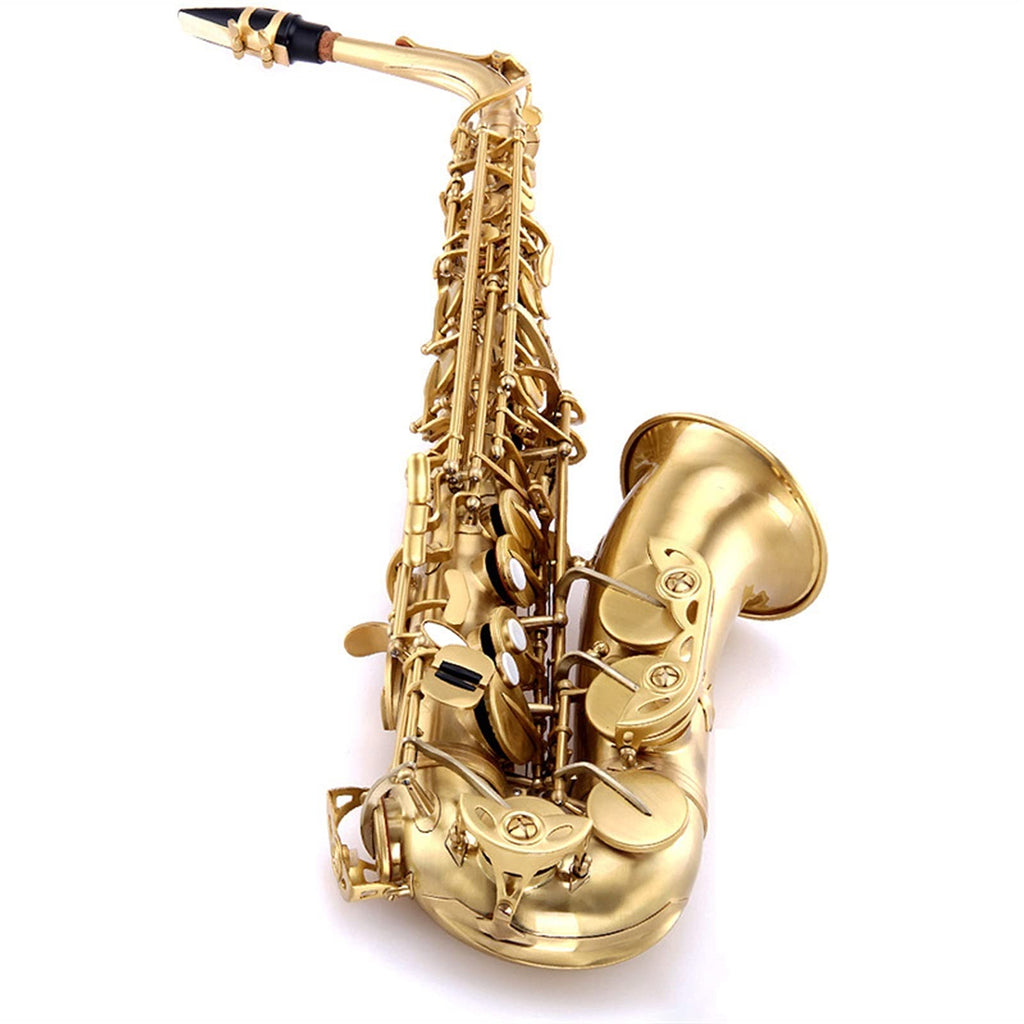 E Flat Alto Saxophone Set M61611