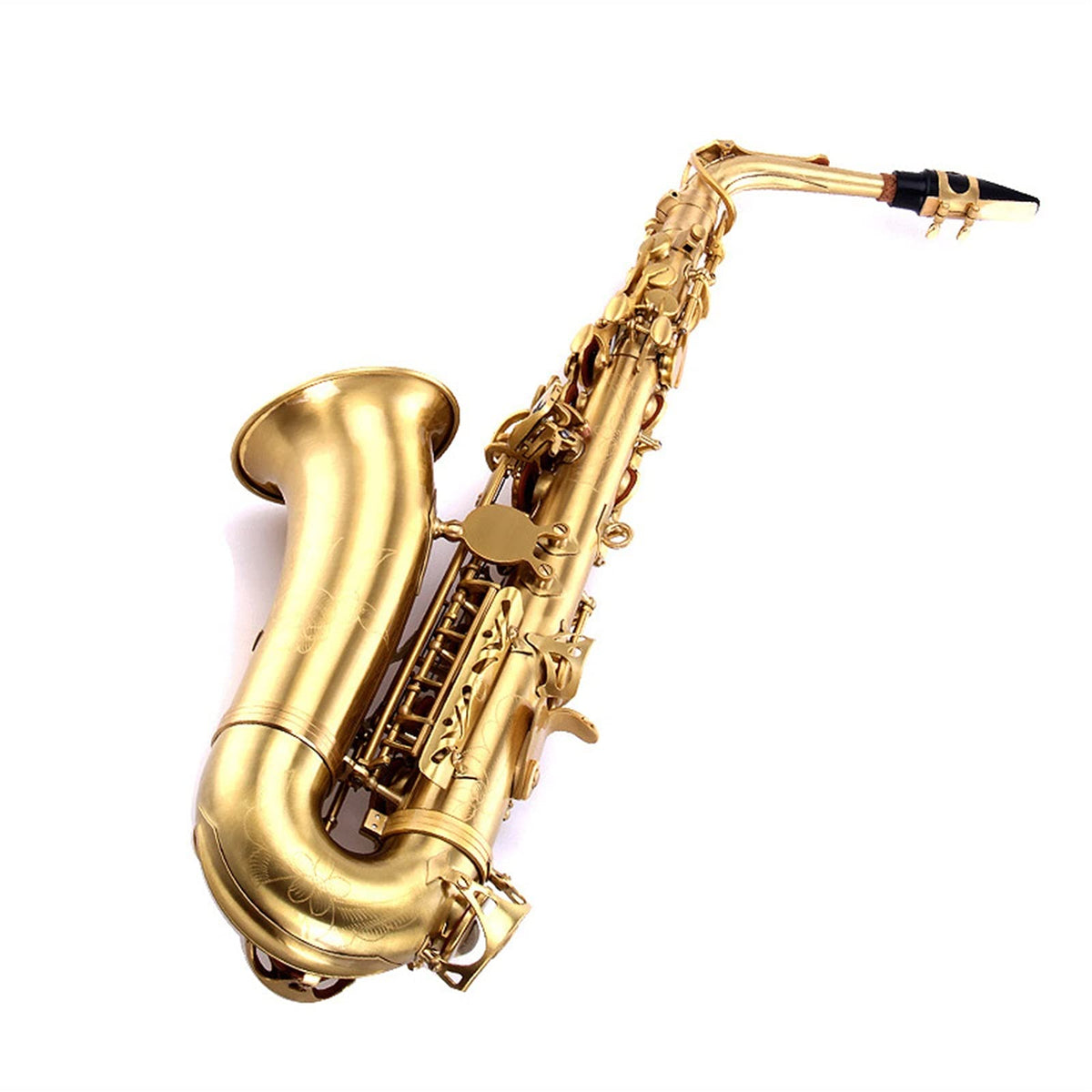E Flat Alto Saxophone Set M61611