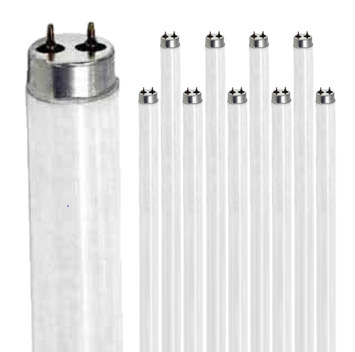24 Inch 20W 2700K Warm White T9 Fluorescent Tube Light Bulb G13 Bi-Pin Base Pack of 10 N919