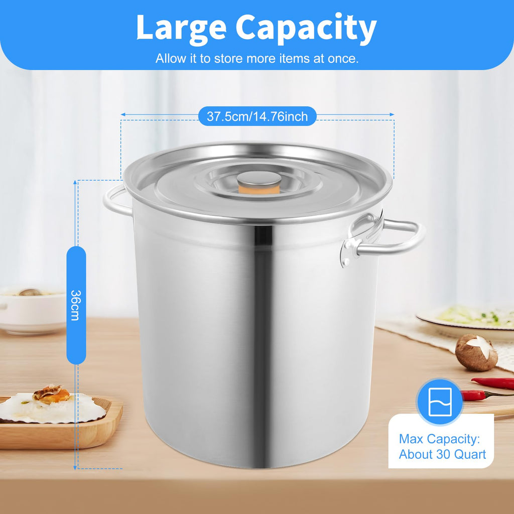 35L Stainless Steel Stockpot with Lid and 2 Handles H209853