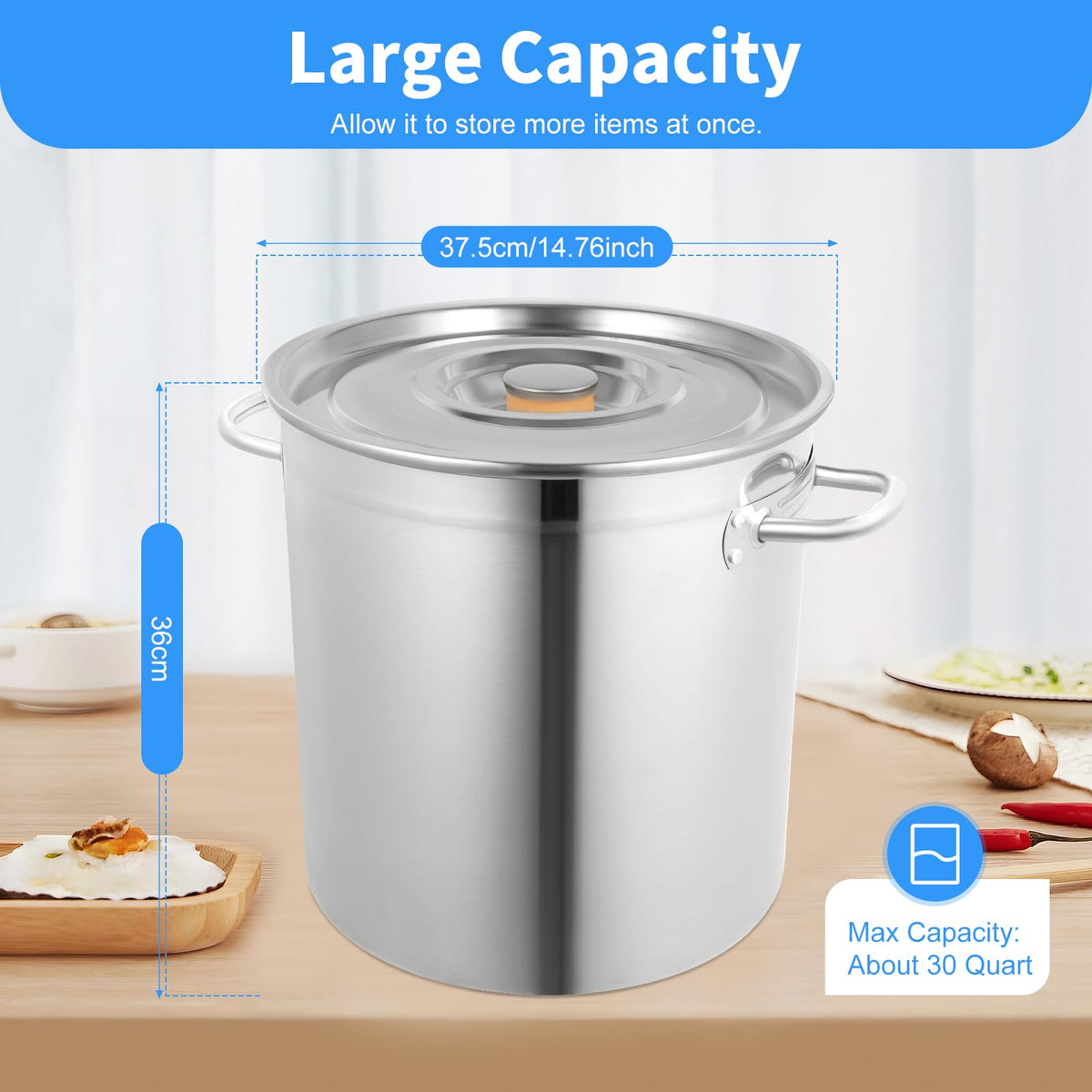 35L Stainless Steel Stockpot with Lid and 2 Handles H209853