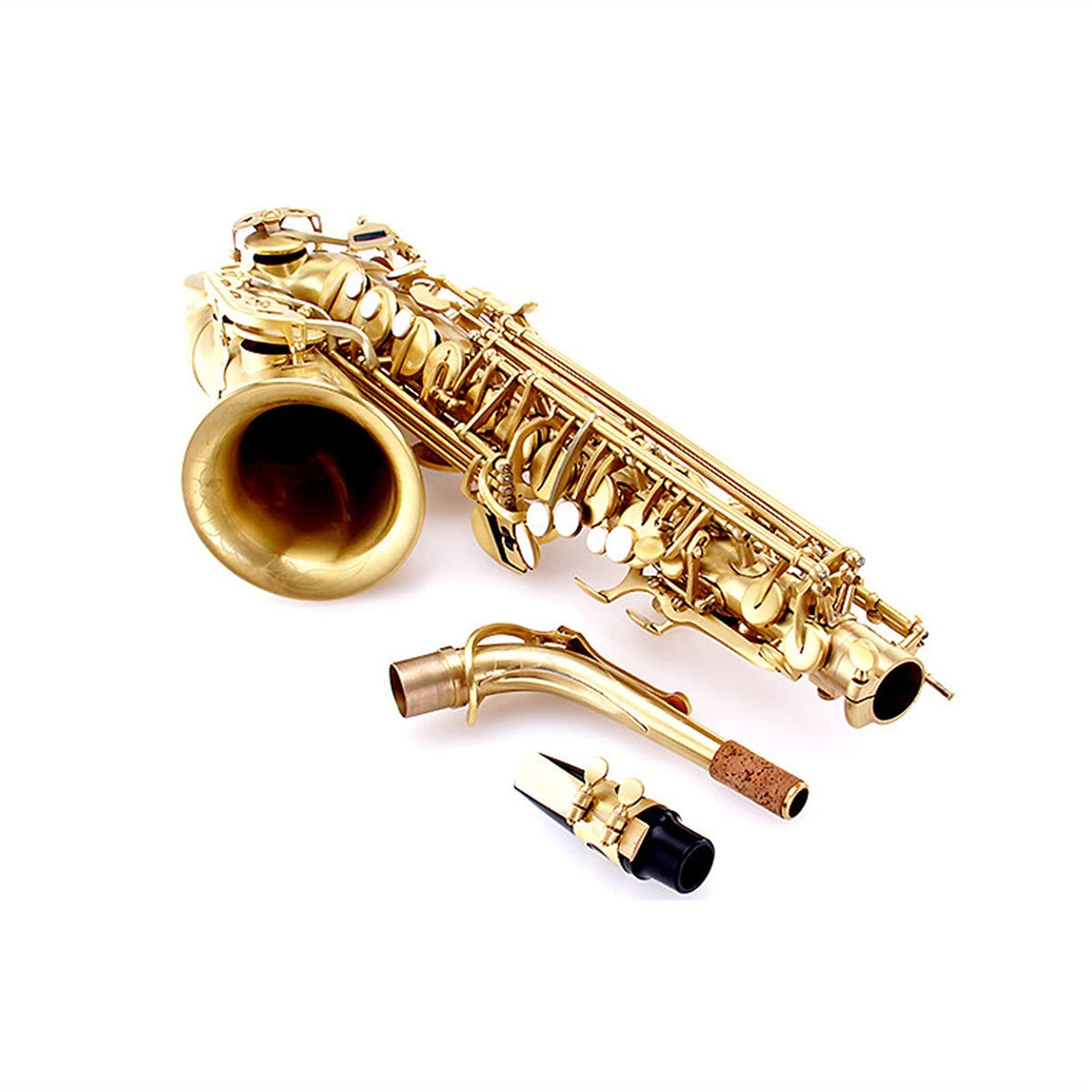 E Flat Alto Saxophone Set M61611