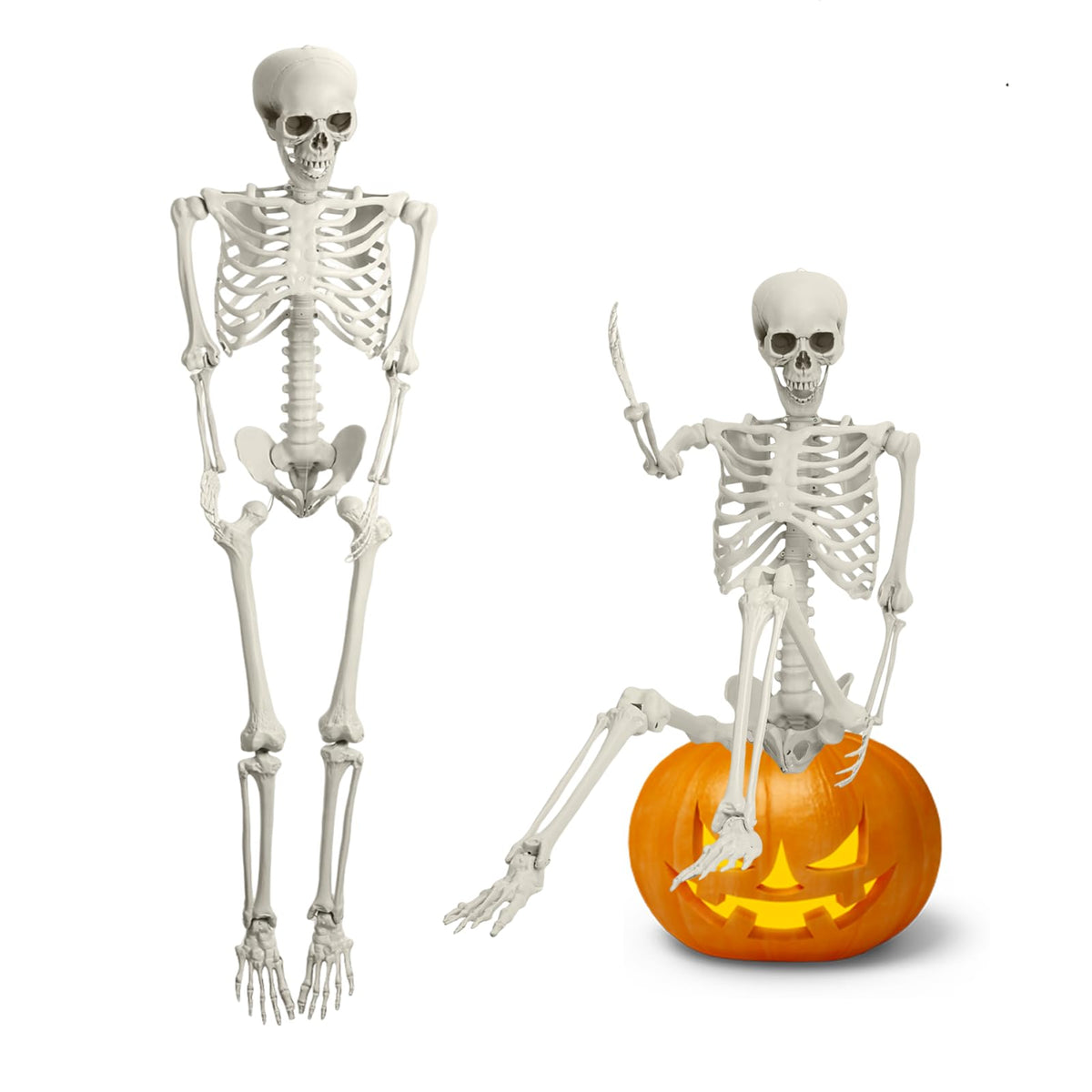 5.4FT Posable Full Body Skeleton with Movable Joints R3549