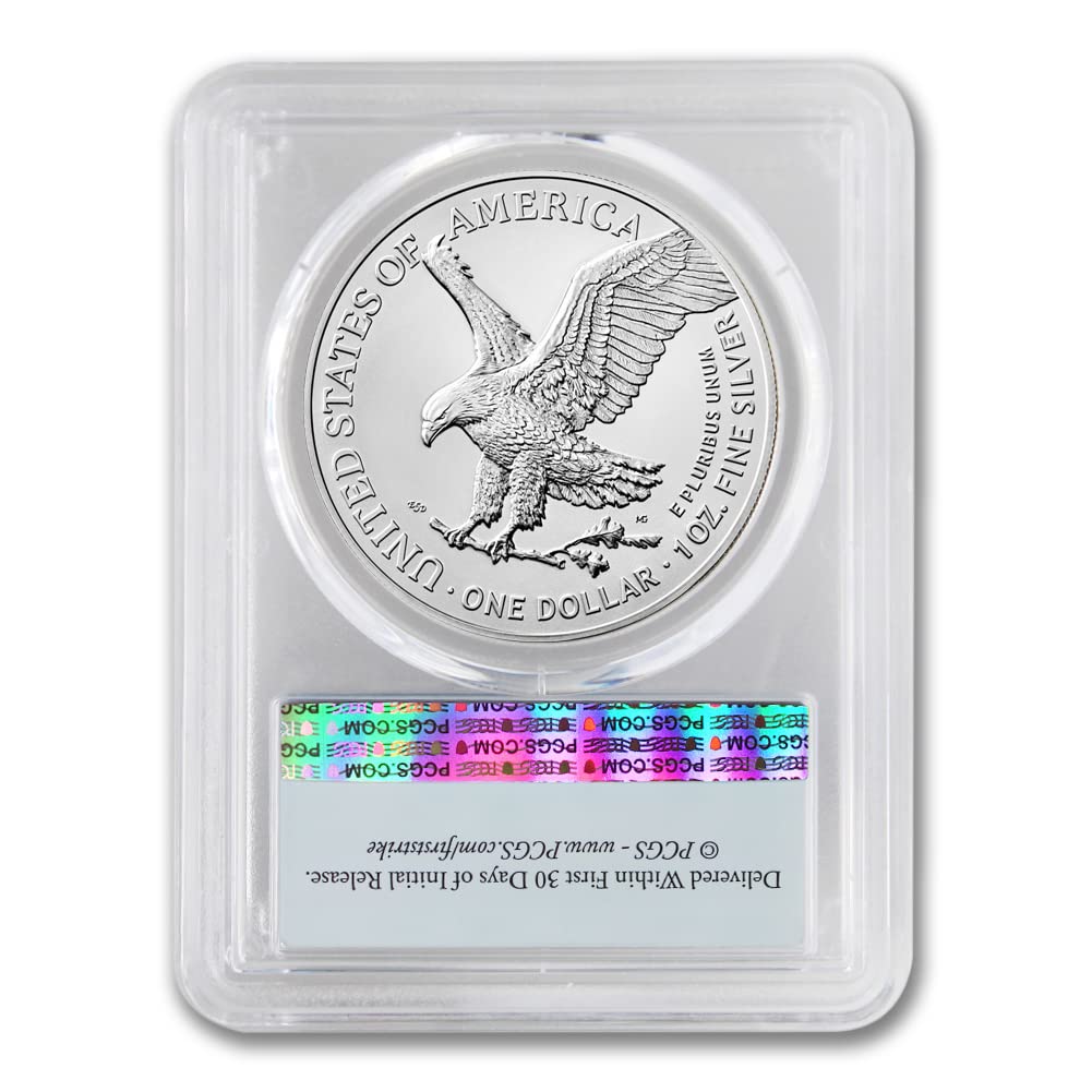 1 oz American Silver Eagle Coin K104587