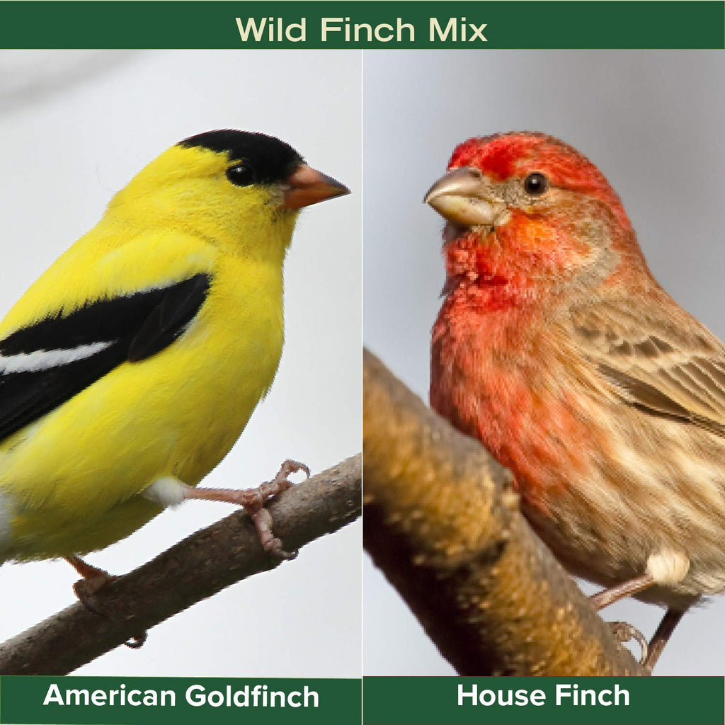 Finch Wild Bird Seed 20lb Bag R722