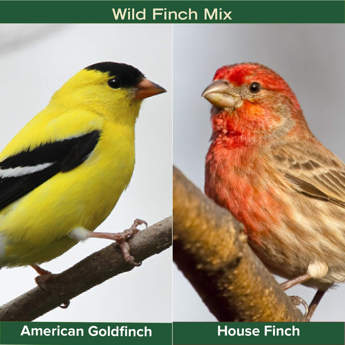 Finch Wild Bird Seed 20lb Bag R722