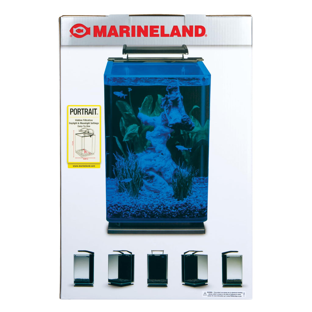 Glass LED Aquarium Kit, 5 Gallons, Hidden Filtration, Black C852