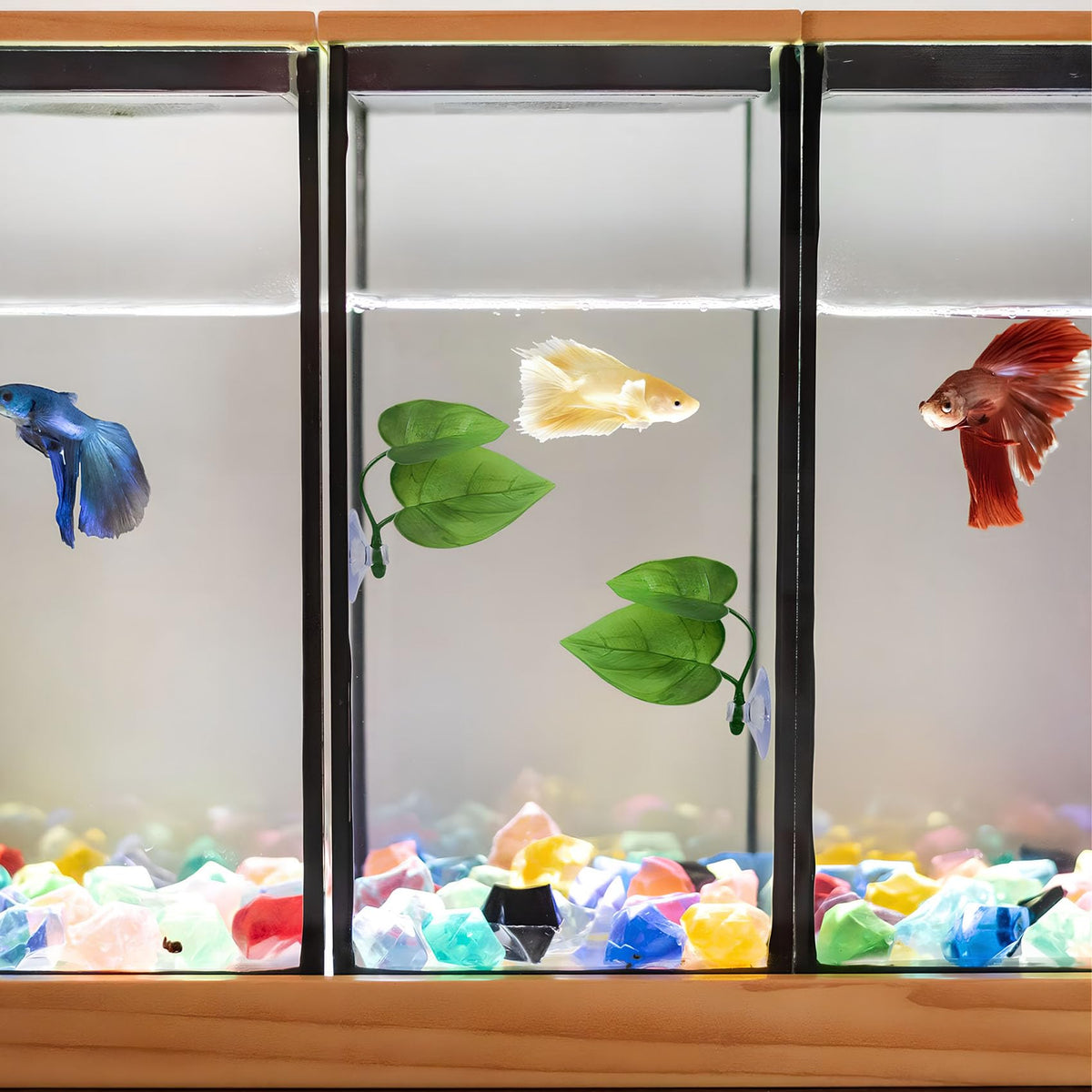 Betta Fish Leaf Hammock, 2 PCS Aquarium Decor N3966