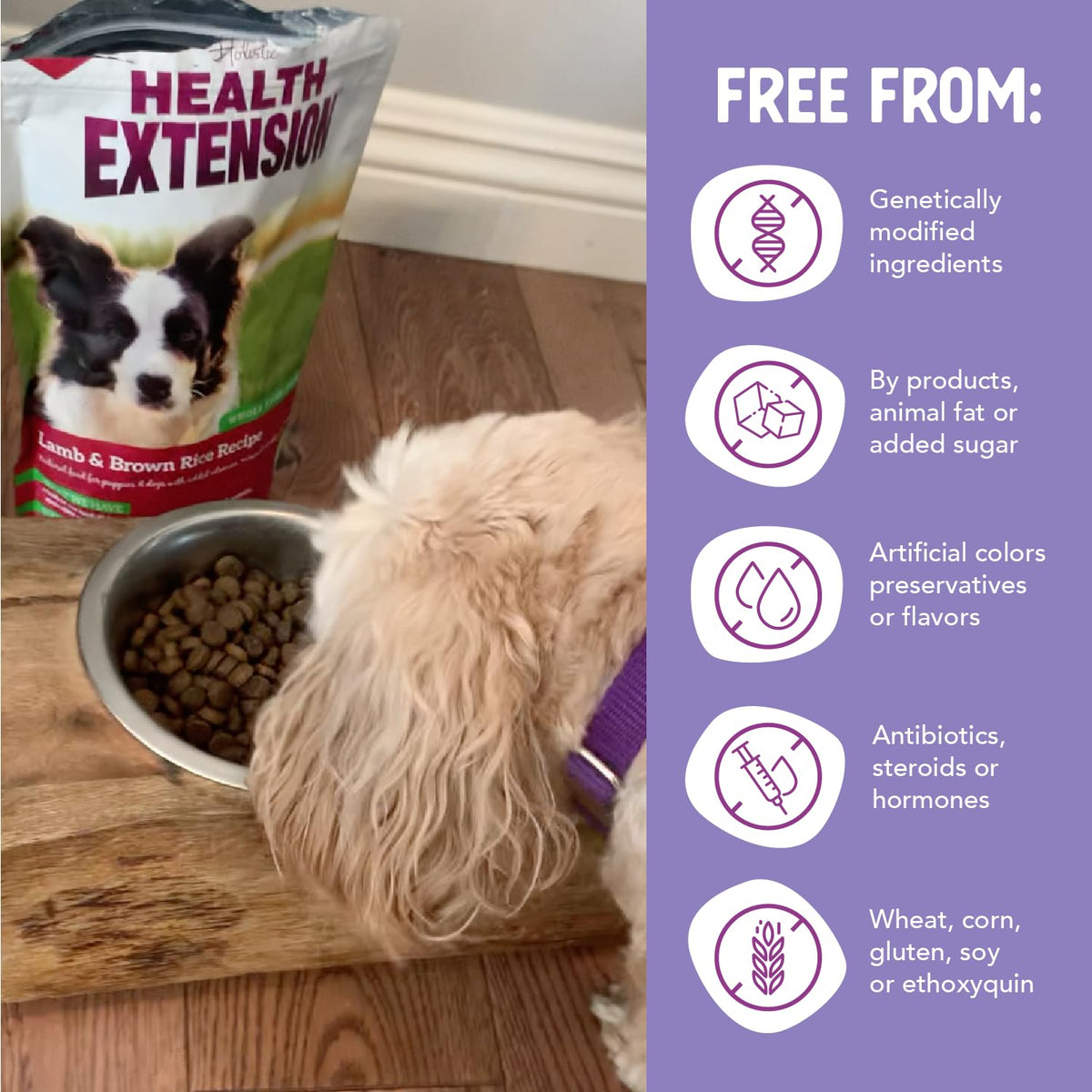 Lamb & Brown Rice Dry Dog Food with Probiotics 1 lb X6614