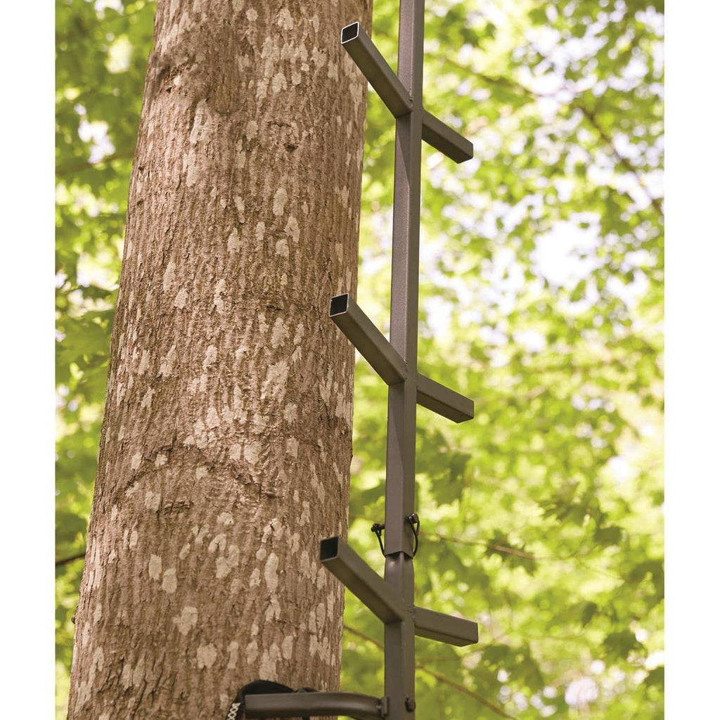 Full Step Climbing Stick Ladder F907260