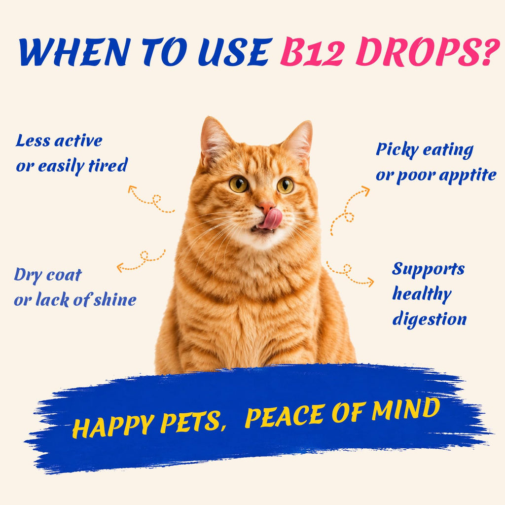 Vitamin B12 Supplement B900
