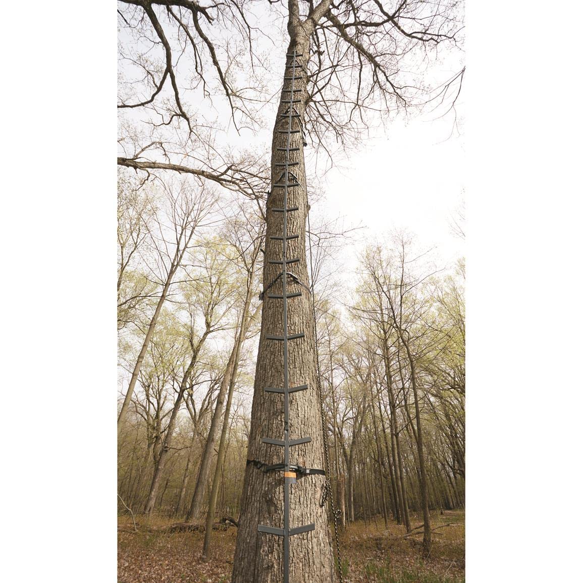 Full Step Climbing Stick Ladder F907260