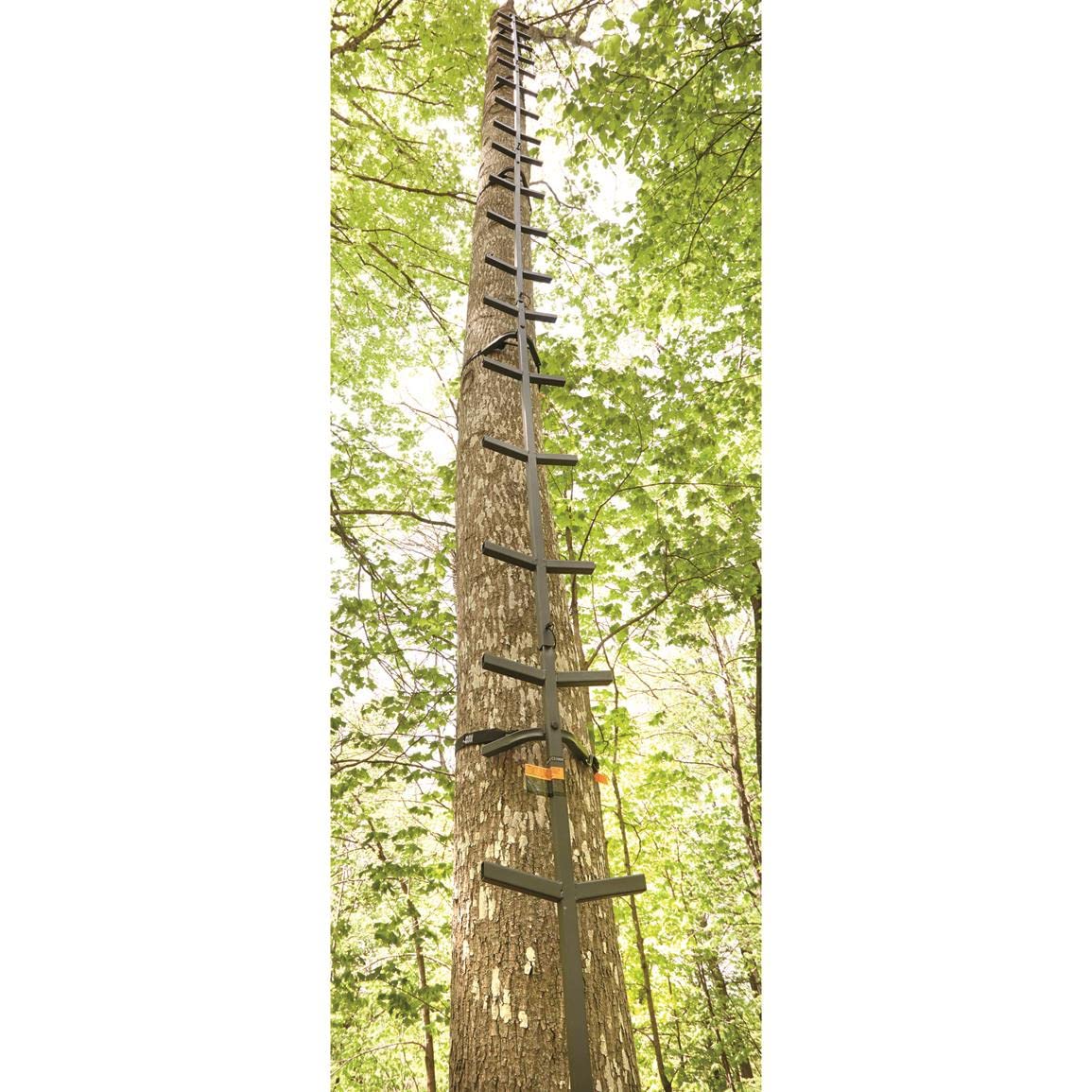 Full Step Climbing Stick Ladder F907260