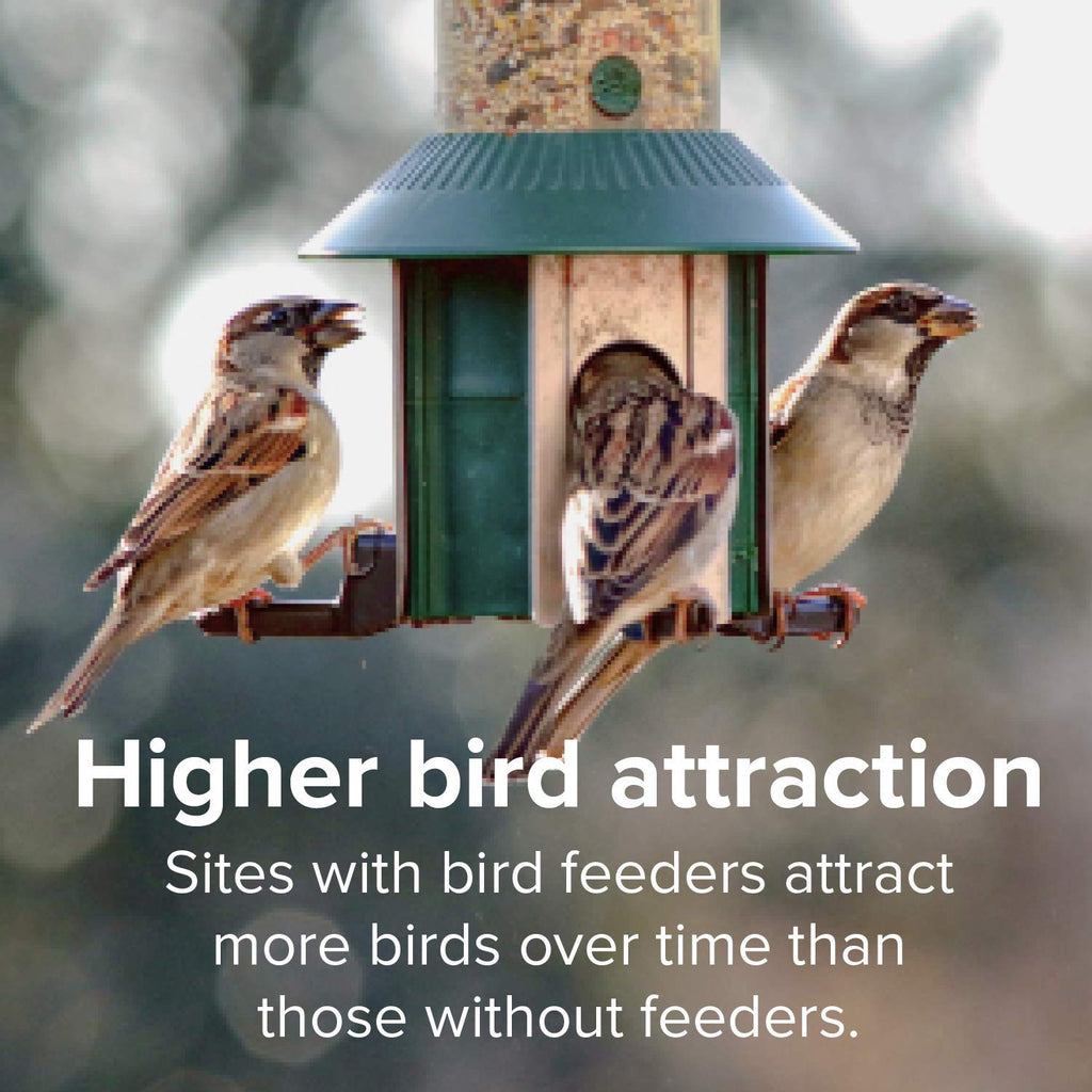 Finch Wild Bird Seed 20lb Bag R722
