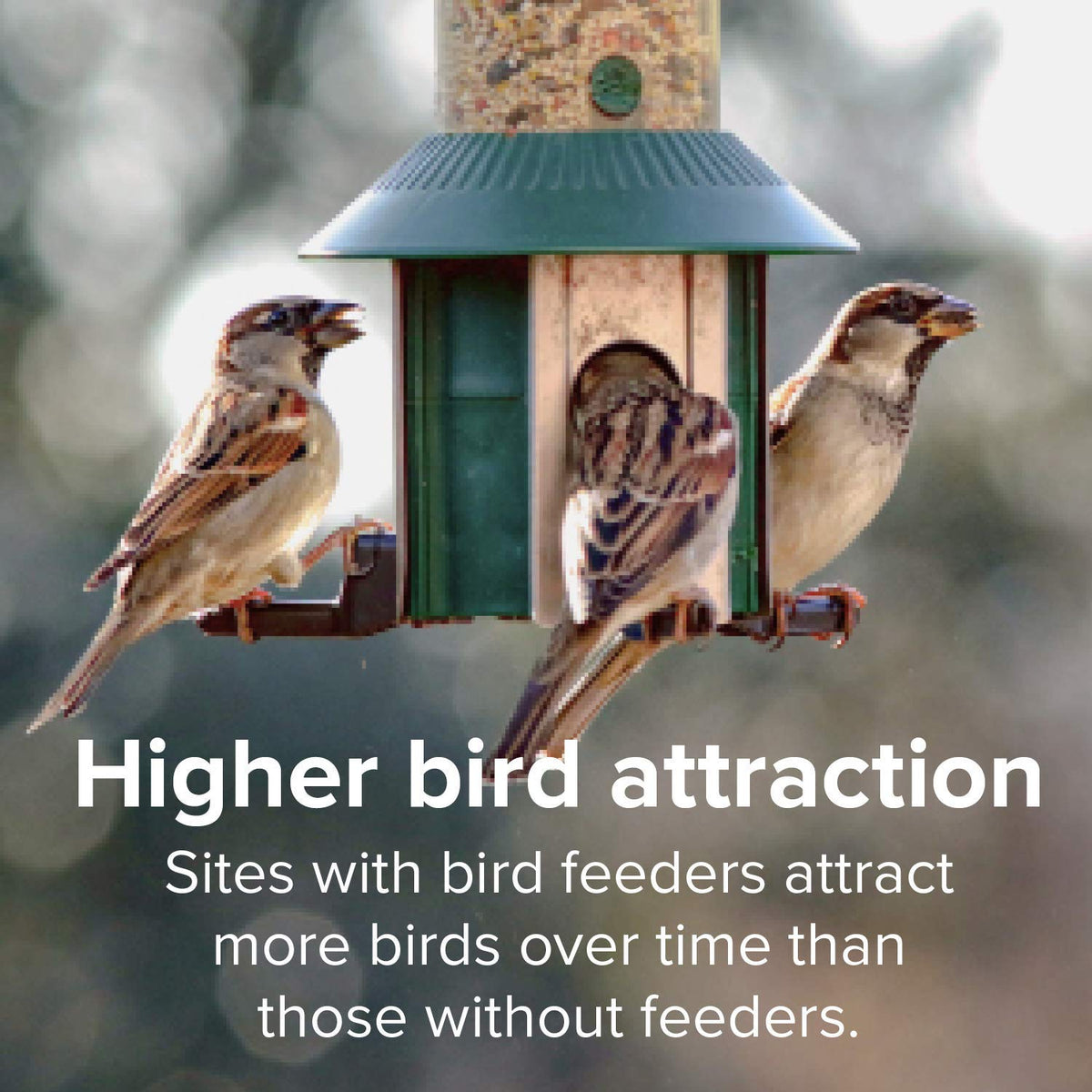 Finch Wild Bird Seed 20lb Bag R722