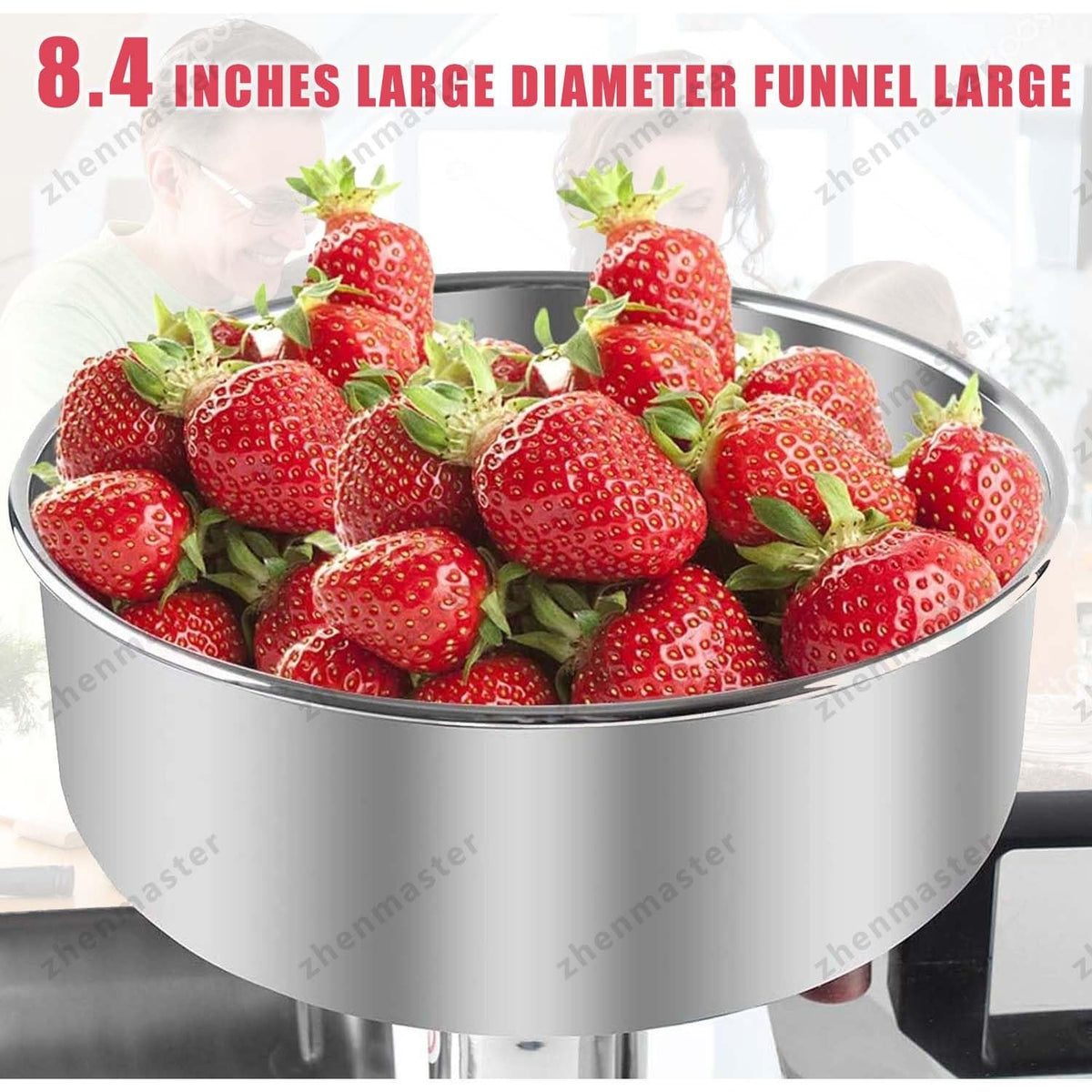 450W Stainless Steel Electric Tomato Strainer E6351