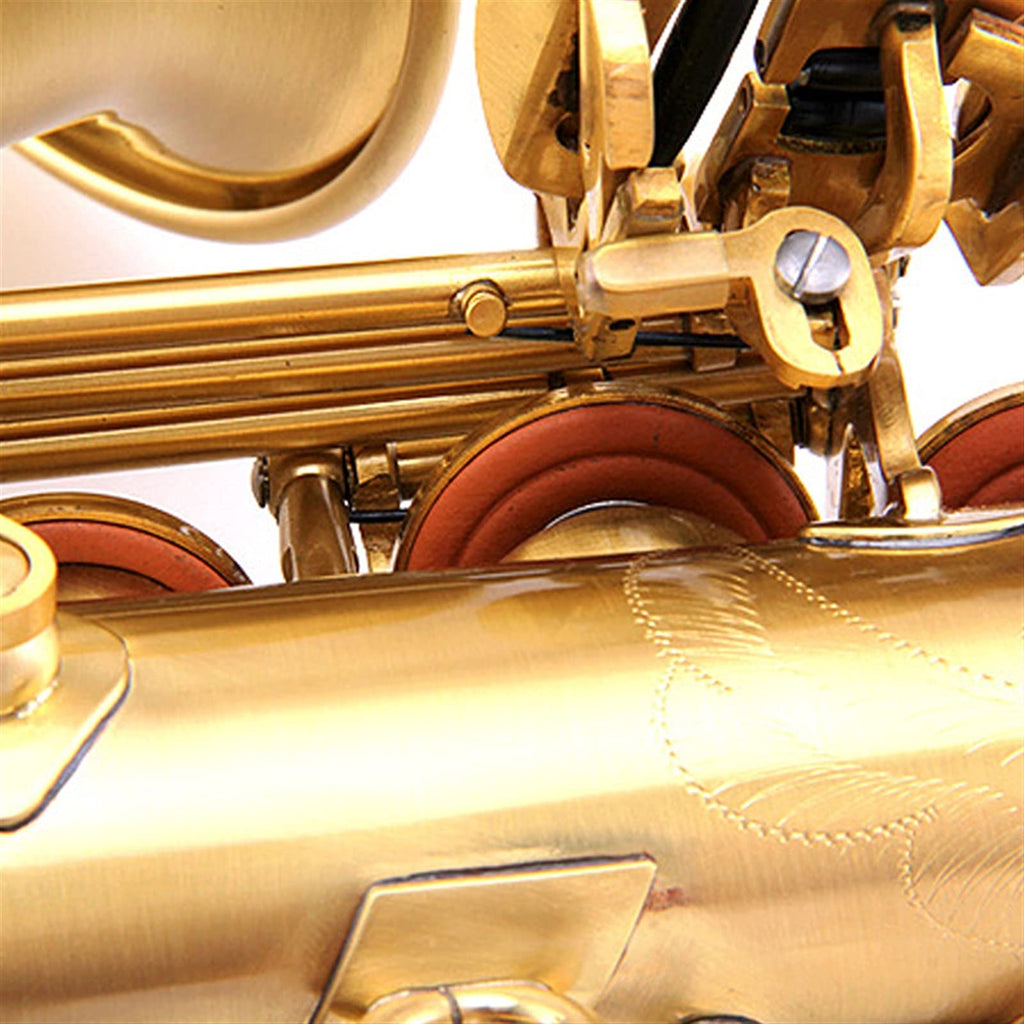 E Flat Alto Saxophone Set M61611