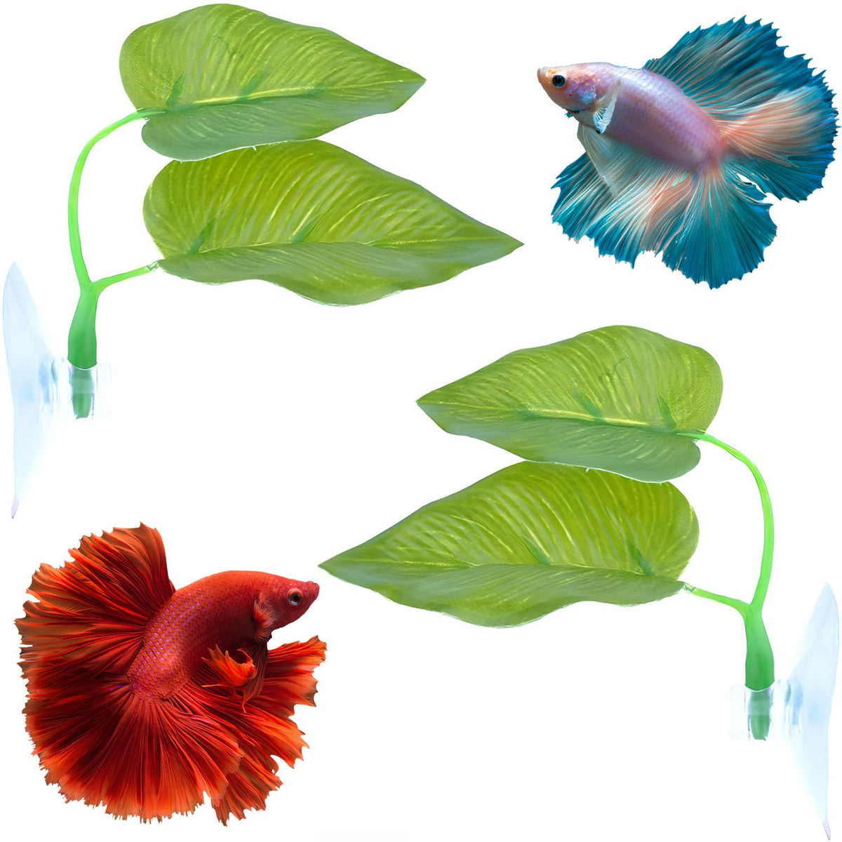 Betta Fish Leaf Hammock, 2 PCS Aquarium Decor N3966