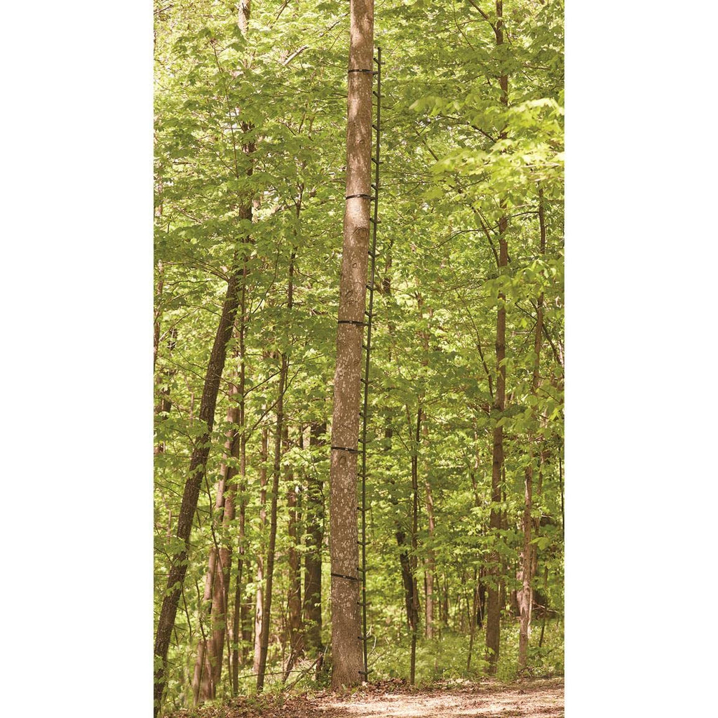 Full Step Climbing Stick Ladder F907260