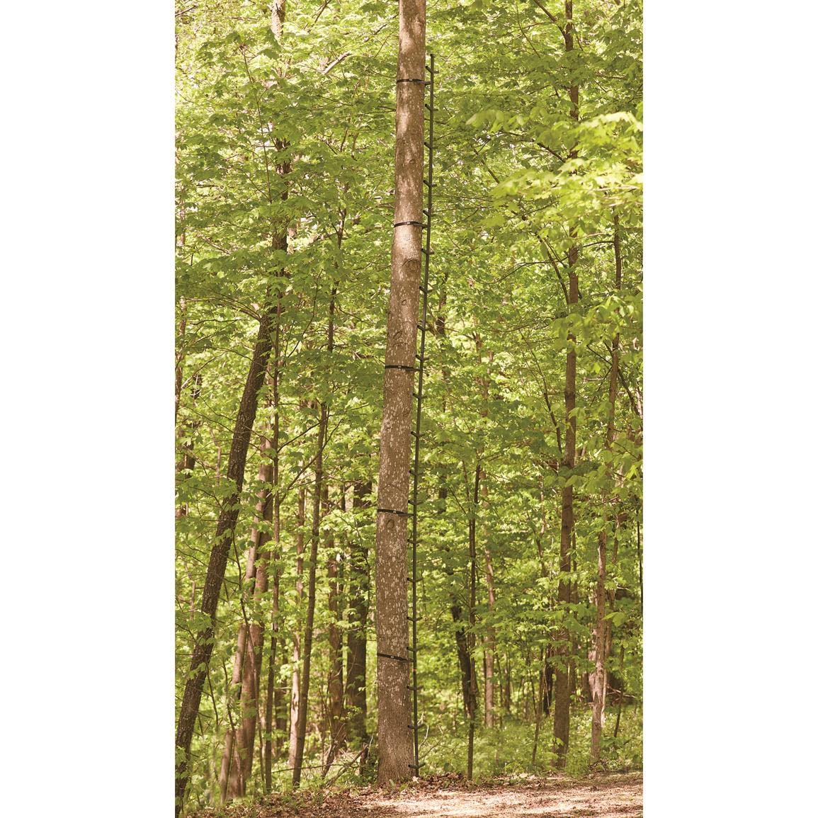Full Step Climbing Stick Ladder F907260