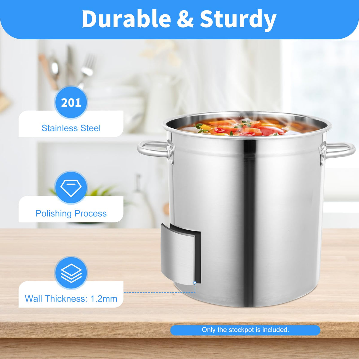 35L Stainless Steel Stockpot with Lid and 2 Handles H209853