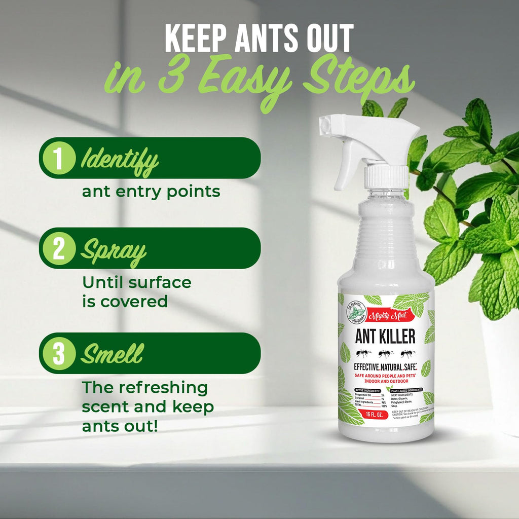 Peppermint Oil Ant Killer Spray, 16 oz G82526