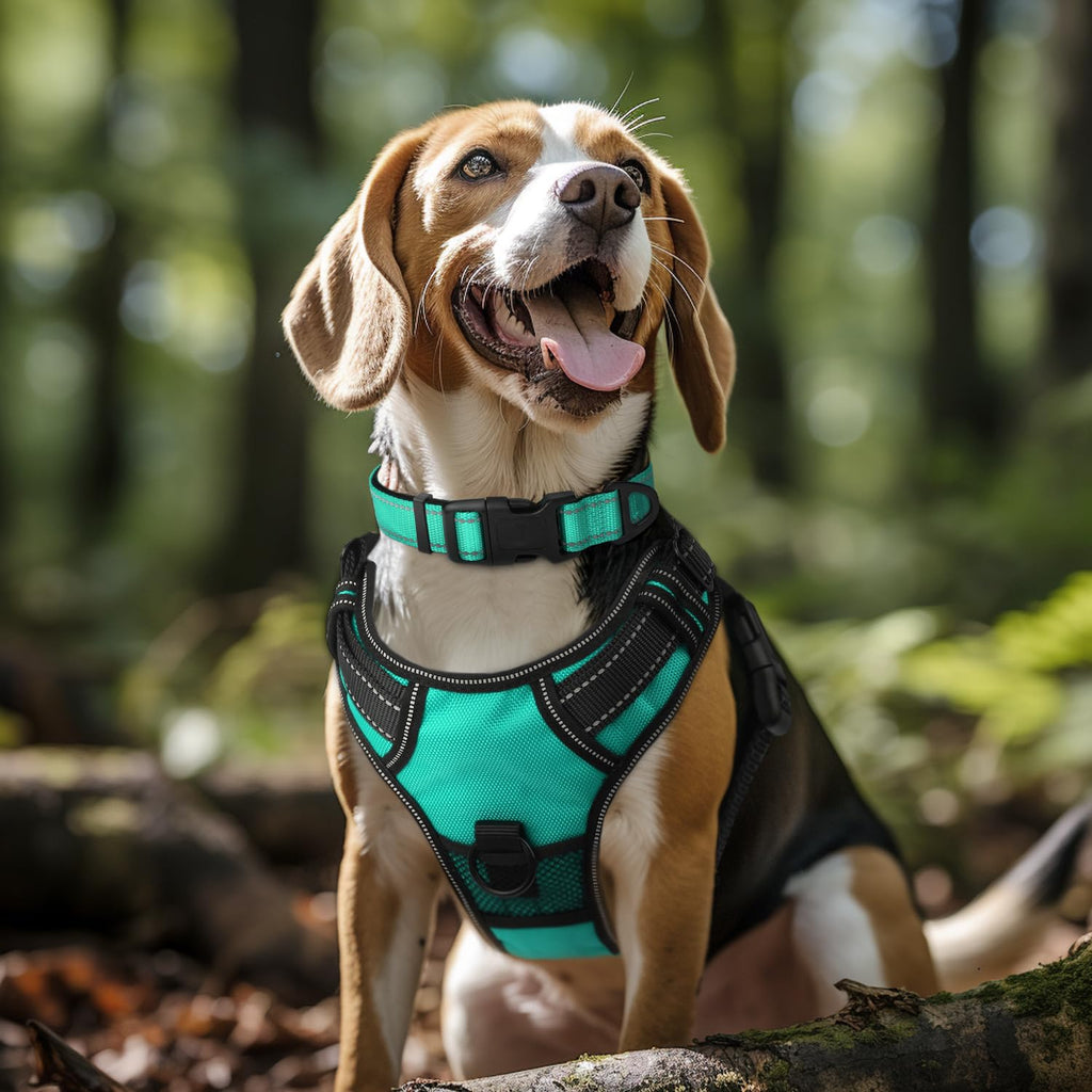 Reflective Adjustable Neoprene Padded Dog Collar V57176