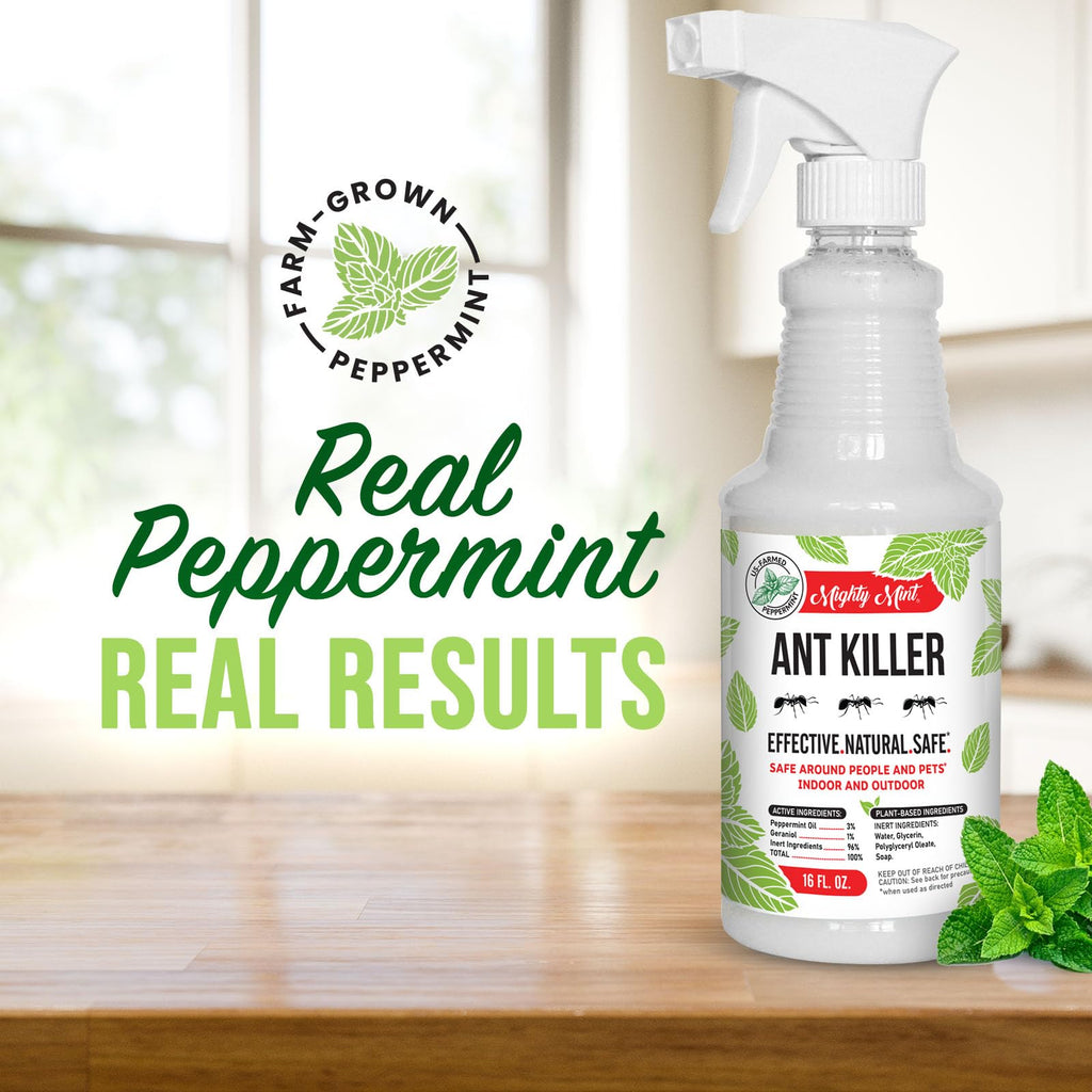 Peppermint Oil Ant Killer Spray, 16 oz G82526
