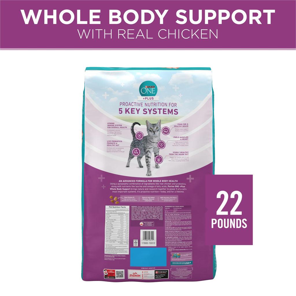 Dry Cat Food 22 lb. Bag G758569
