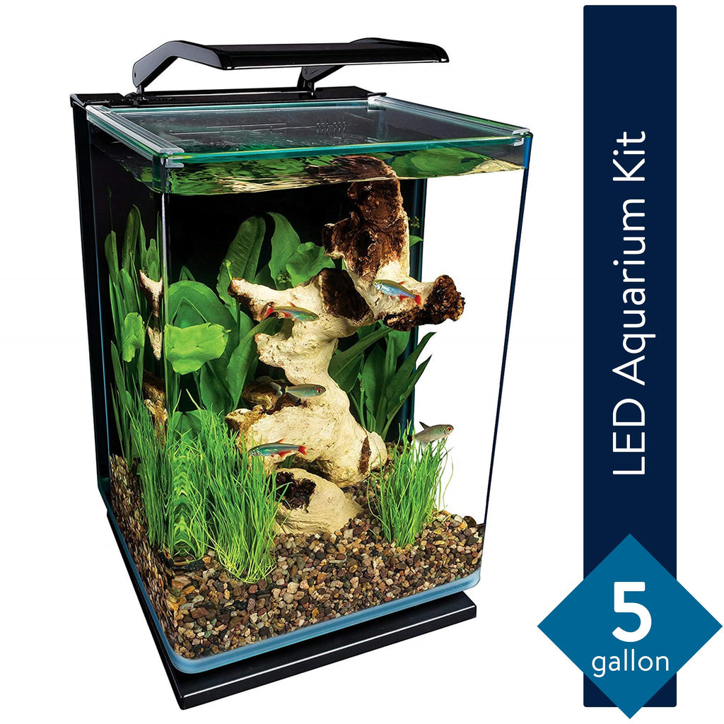 Glass LED Aquarium Kit, 5 Gallons, Hidden Filtration, Black C852