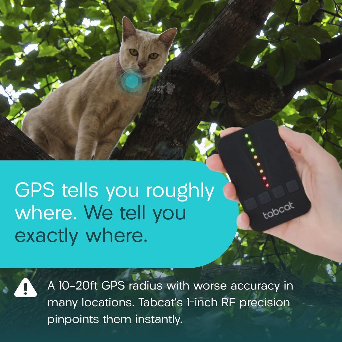 Cat & Kitten Tracker with 4 Homing Tags O664895