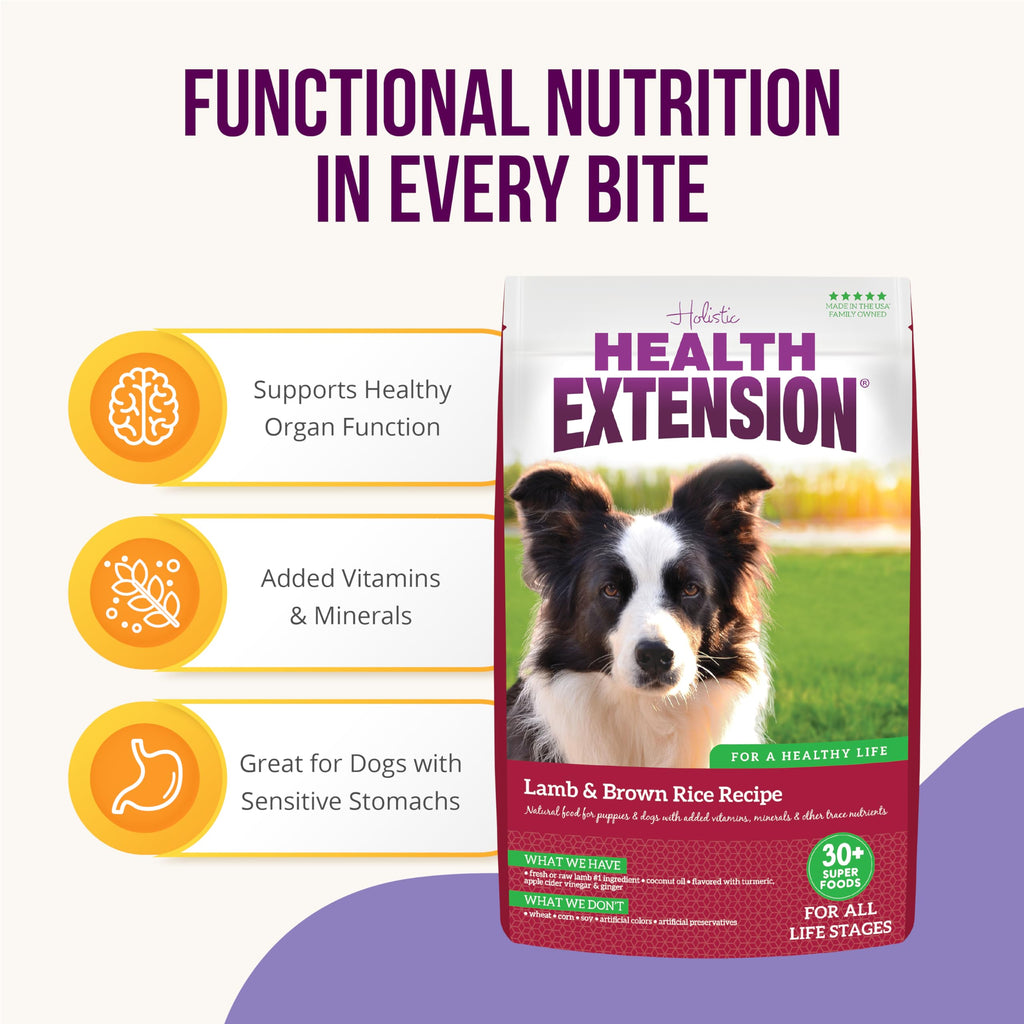 Lamb & Brown Rice Dry Dog Food with Probiotics 1 lb X6614