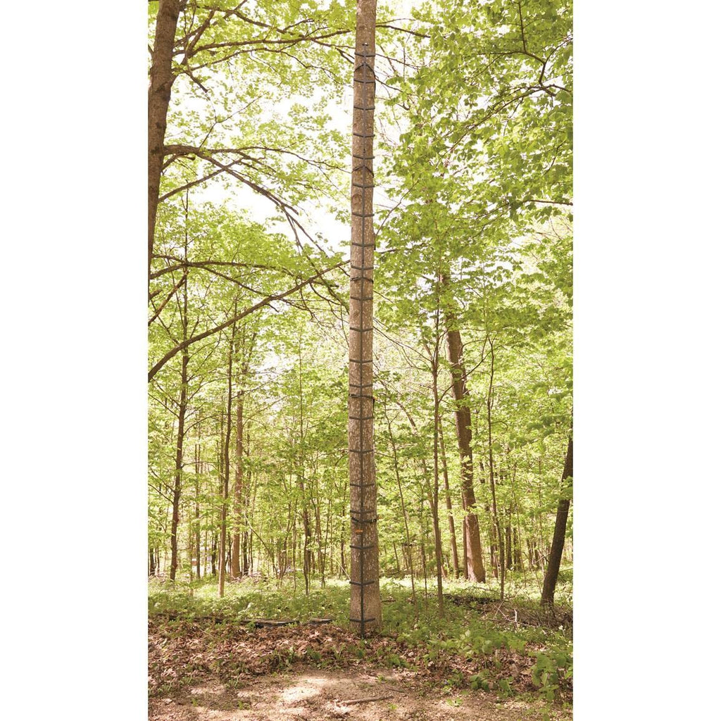 Full Step Climbing Stick Ladder F907260