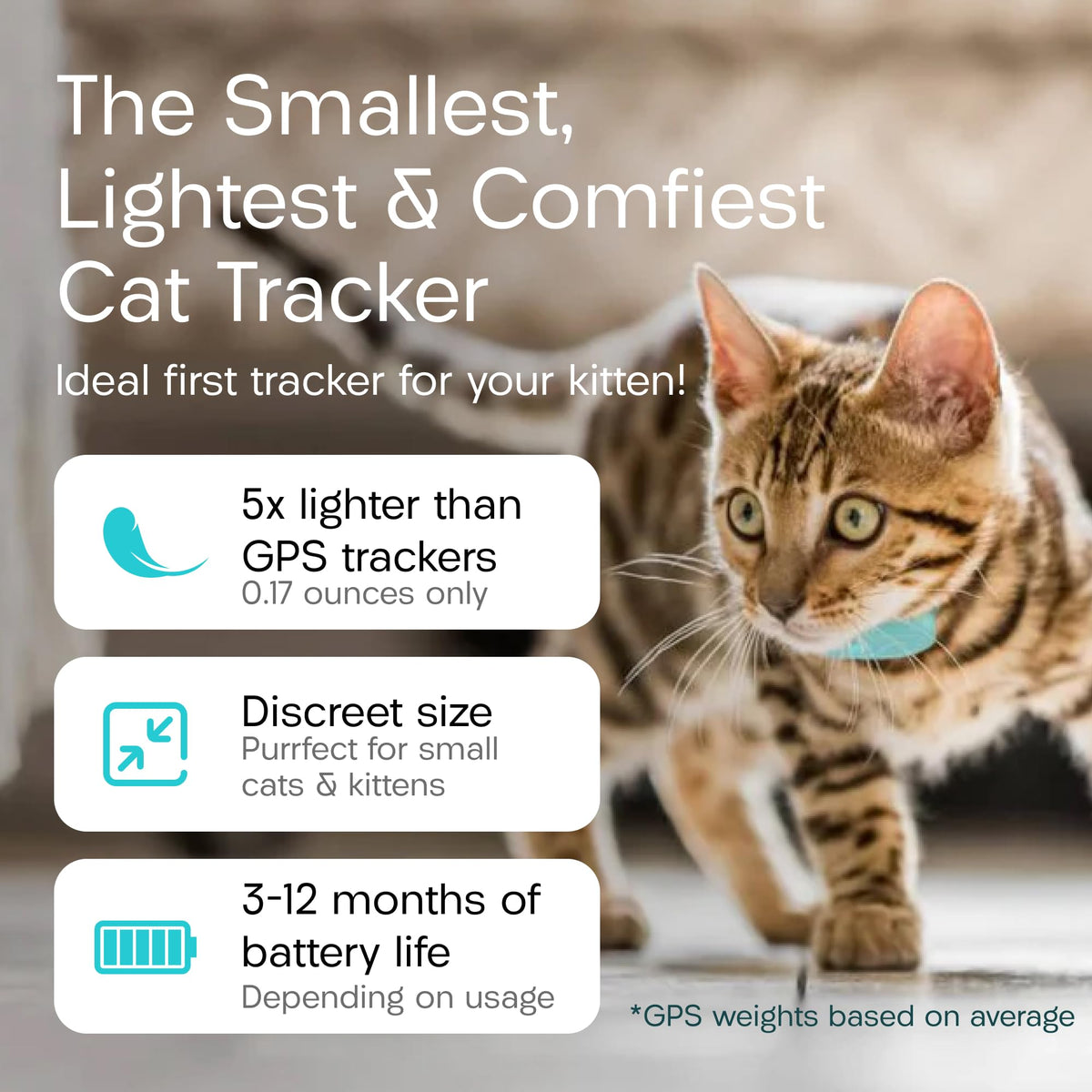 Cat & Kitten Tracker with 4 Homing Tags O664895