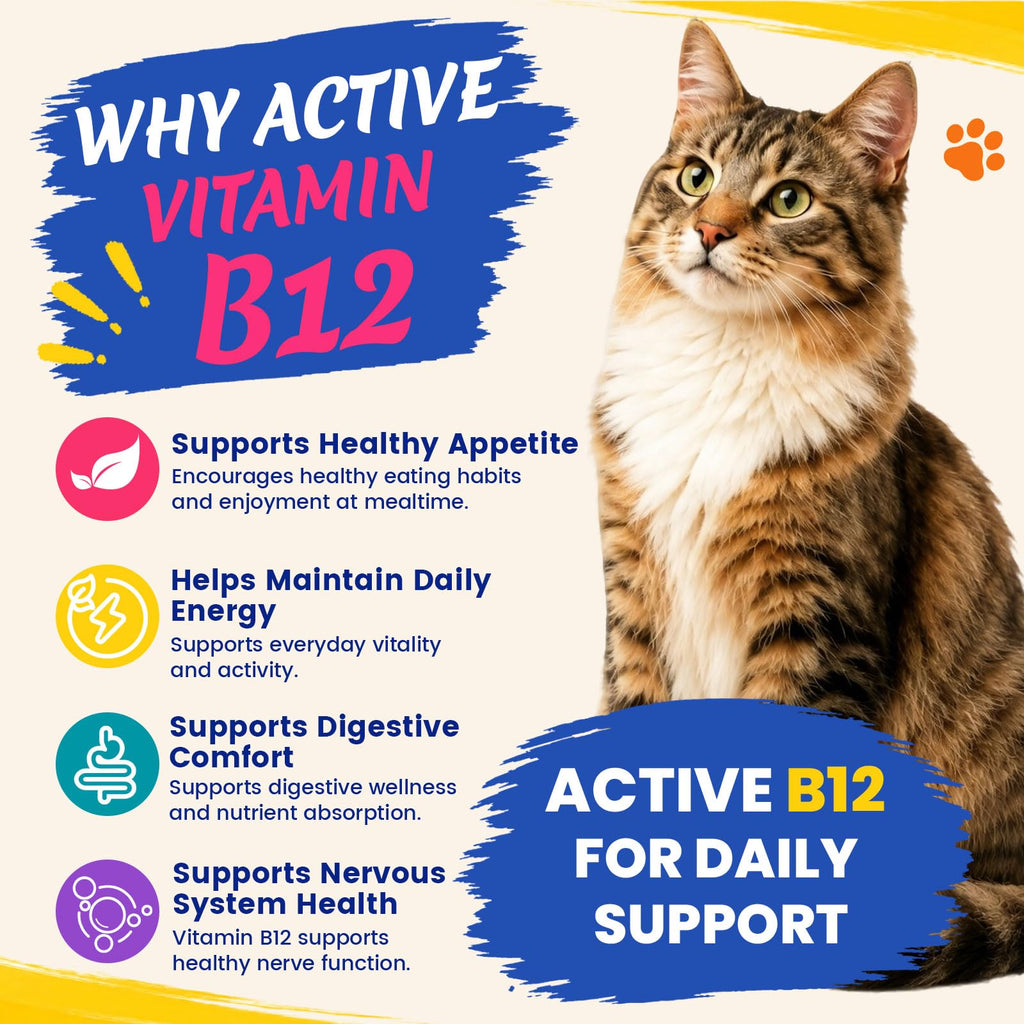 Vitamin B12 Supplement B900