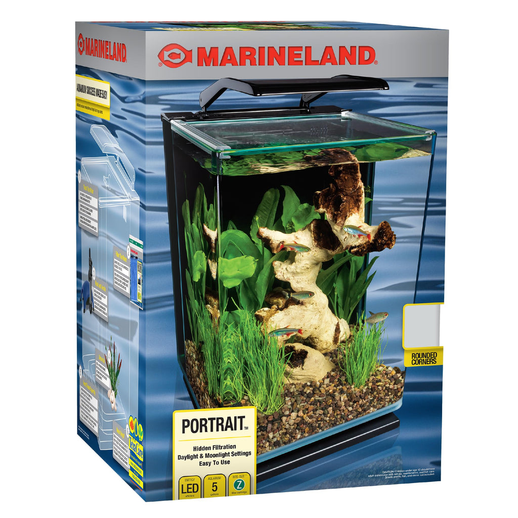 Glass LED Aquarium Kit, 5 Gallons, Hidden Filtration, Black C852