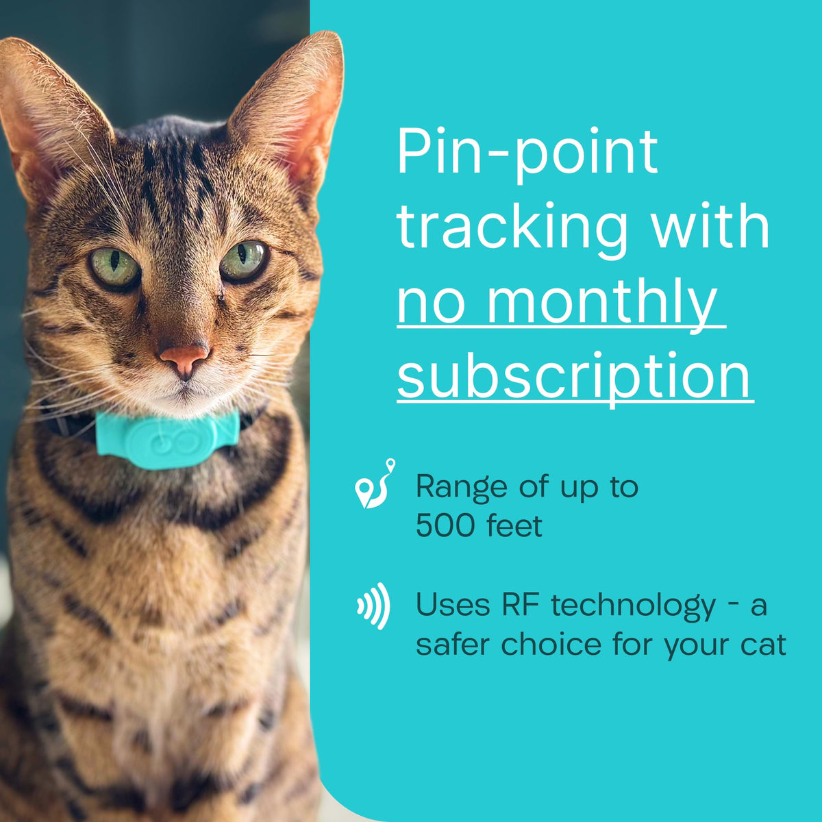 Cat & Kitten Tracker with 4 Homing Tags O664895