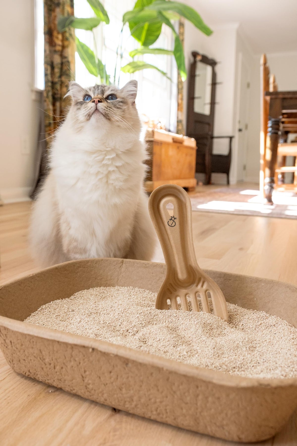 Disposable Cat & Rabbit Litter Scoops 6-Pack N655254
