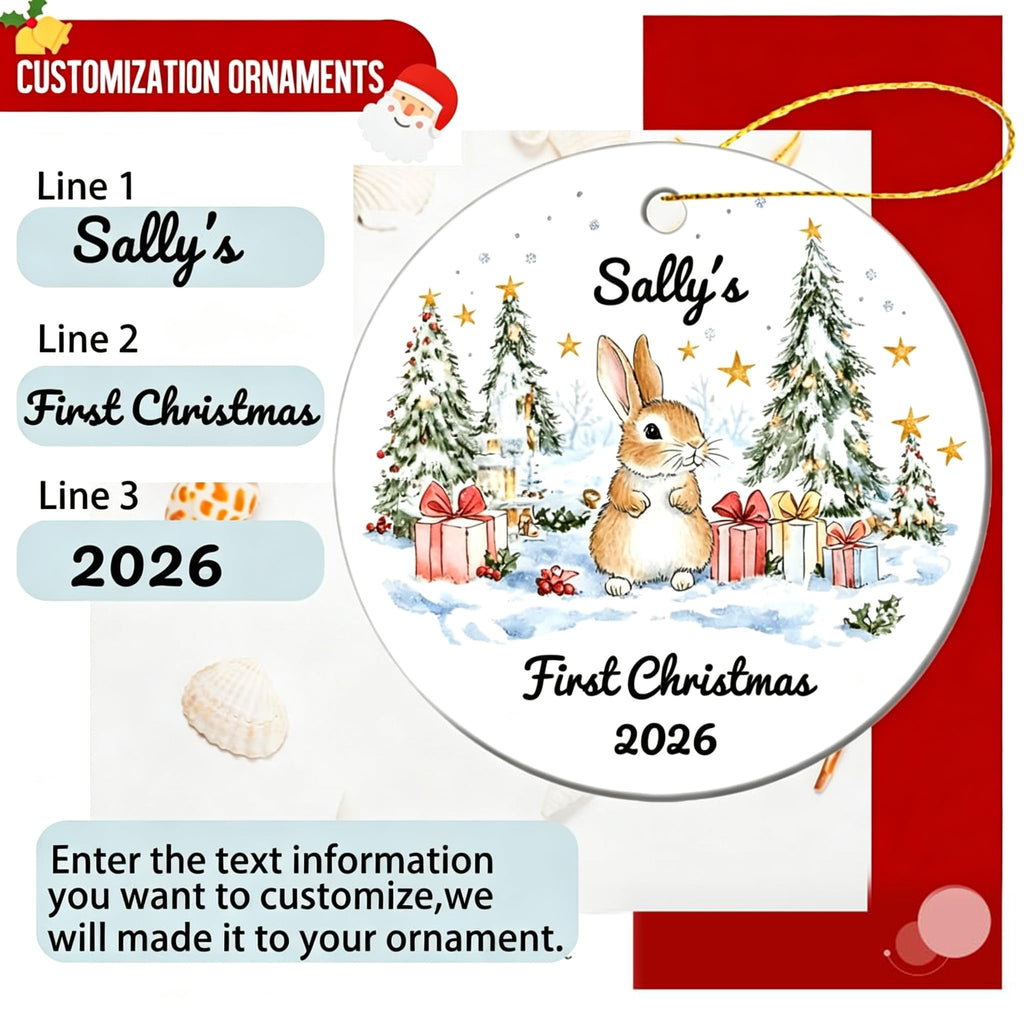 Baby First Christmas Ornament 2026 C181879