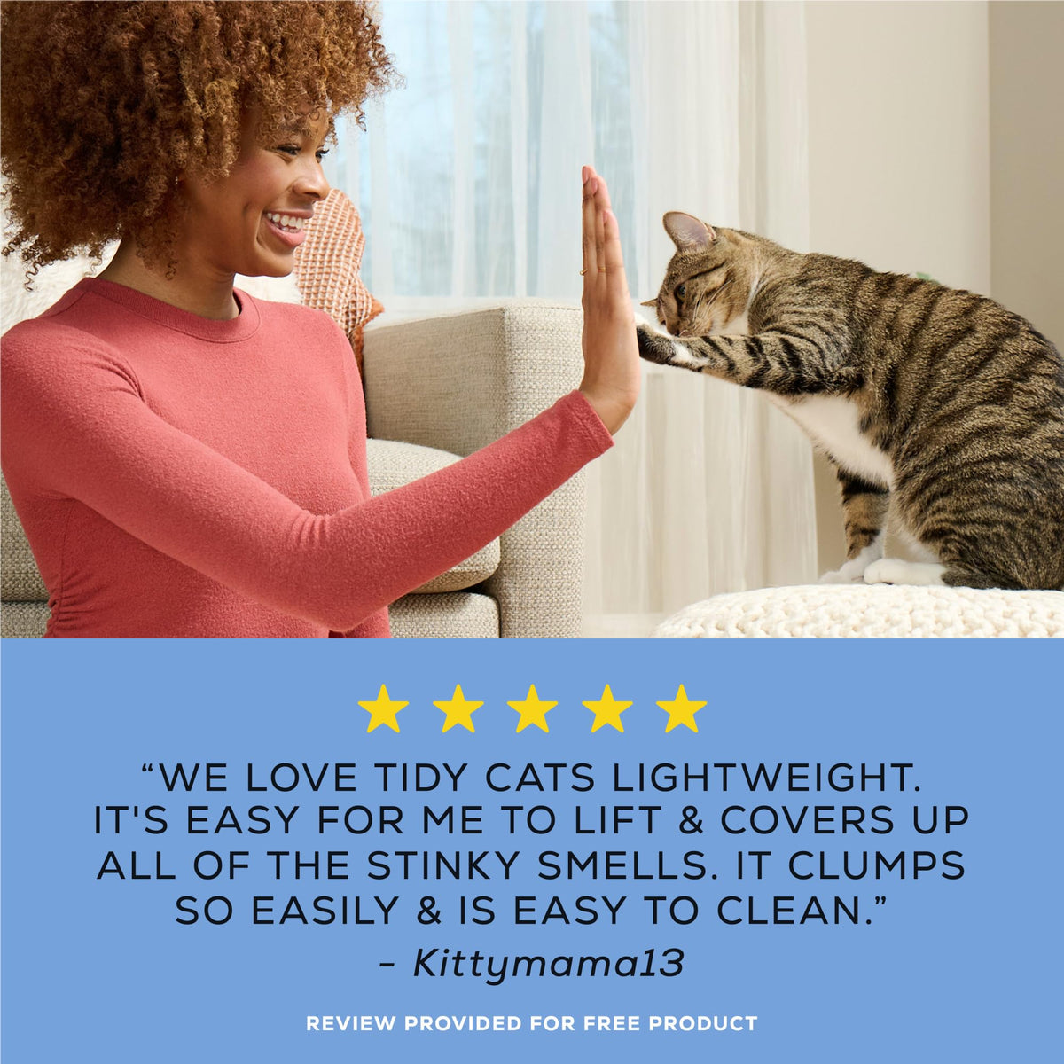 Clumping Cat Litter 8.5 lb Q463