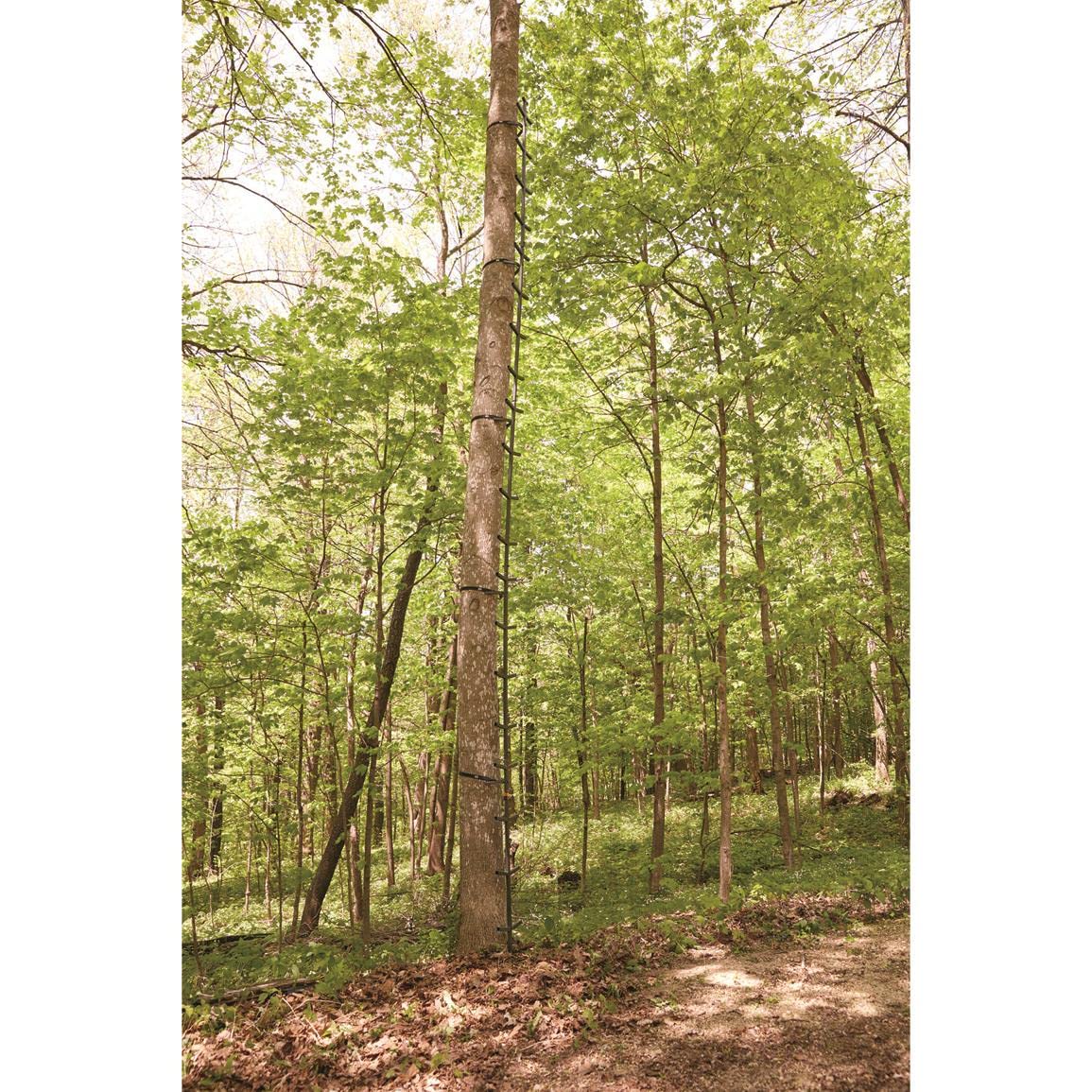 Full Step Climbing Stick Ladder F907260