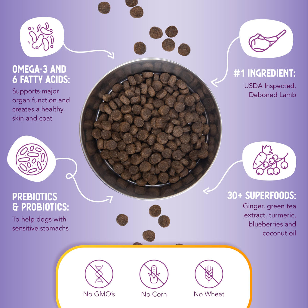 Lamb & Brown Rice Dry Dog Food with Probiotics 1 lb X6614