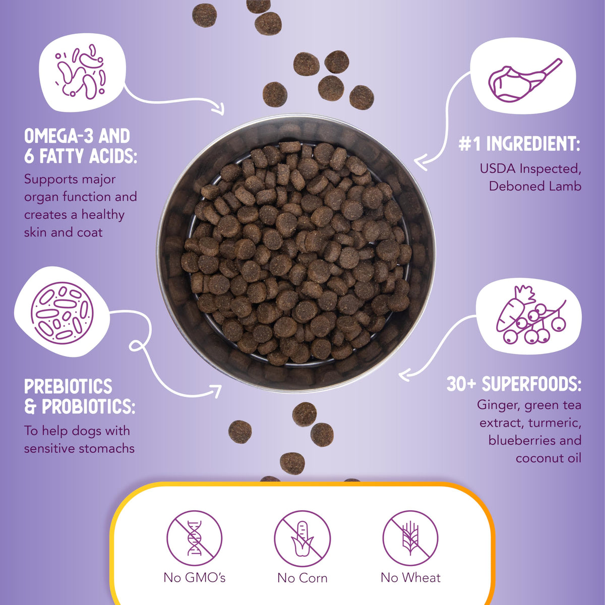 Lamb & Brown Rice Dry Dog Food with Probiotics 1 lb X6614