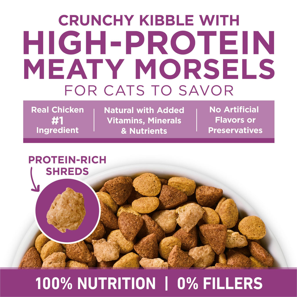 Dry Cat Food 22 lb. Bag G758569