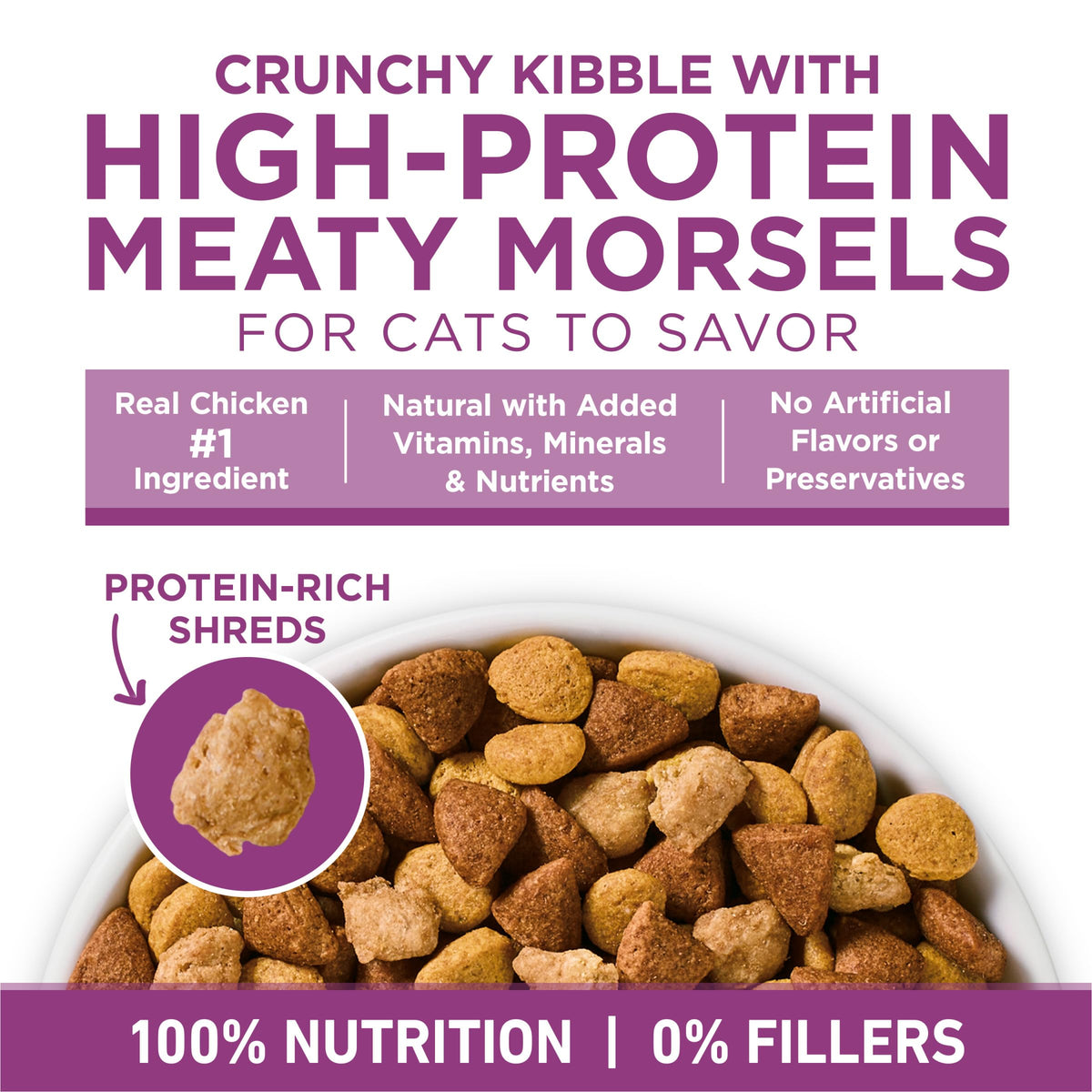 Dry Cat Food 22 lb. Bag G758569