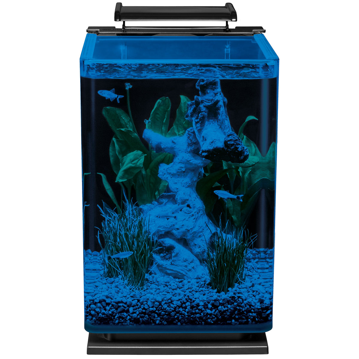 Glass LED Aquarium Kit, 5 Gallons, Hidden Filtration, Black C852