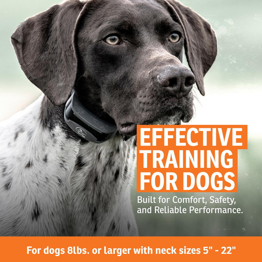 Remote Dog Trainer 1/2 Mile Range F32489